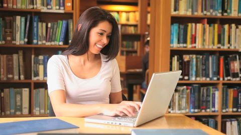 Write my essay online